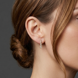 Shimmer Graudated  Earrings